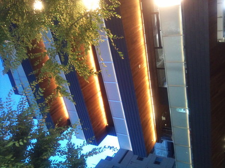 2010-08-03 18.57.01.jpg